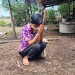 Elderly woman&#8217;s buffalo herd mysteriously vanishes in Buriram | Thaiger