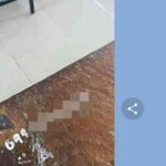 Woman&#8217;s year-long ordeal with recycled SIM card number | Thaiger