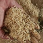 Ten-year-old rice auction resumes after safety tests | Thaiger