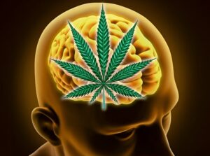 Cannabinoids and vitamin B12 can help in neurodegenerative disease management