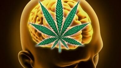 Cannabinoids and vitamin B12 can help in neurodegenerative disease management