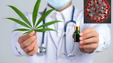 Could cannabis help combat Covid-19?