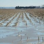 La Niña weather phenomenon likely to further fuel food inflation | Thaiger