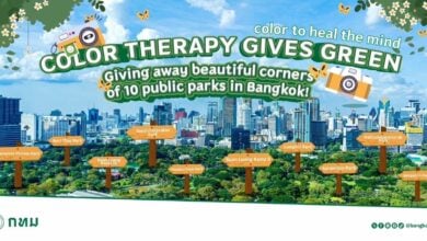 10 green and beautiful parks in Bangkok to heal the mind with colour therapy