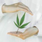 Tips and tricks for new cannabis users | Thaiger