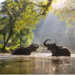 Thailand&#8217;s national parks smash revenue records | Thaiger