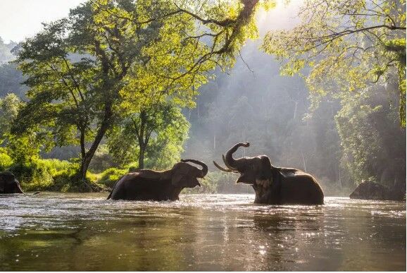 Thailand’s national parks smash revenue records