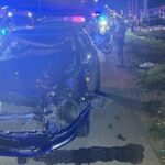 Buffalo&#8217;s great escape ends in udder disaster on the road | Thaiger