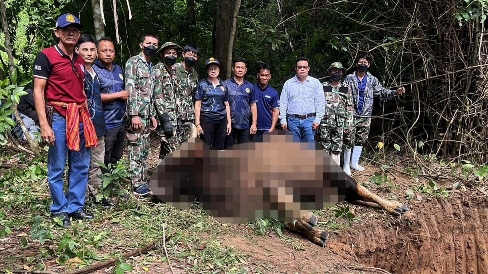 Bull-dozed: Wild chase ends in tragic crash near Khao Yai