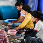 Thailand addresses labour shortage and illegal workers | Thaiger