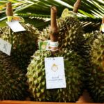 Durian festival returns to Pak Chong for 2024 celebration | Thaiger