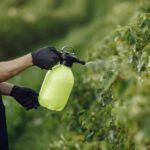 Thailand boosts food safety, bans harmful agrochemicals | Thaiger