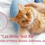 Purr-fect innovation: Chulalongkorn&#8217;s urine luck with cat health kit | Thaiger