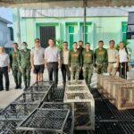 Plan to end monkey business in Lopburi faces roadblock | Thaiger