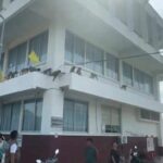 Monkey mayhem: Lopburi runaways turns cop shop into a jungle | Thaiger