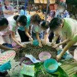 Puffball mushroom prices plummet to 30 baht as season ends | Thaiger