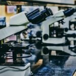 Exploring Selank peptide in infection research | Thaiger