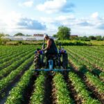 Lay&#8217;s chips in: PepsiCo to grow revenue by 15% for Thai farmers | Thaiger