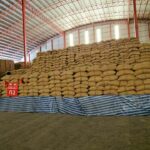 Seven bidders cleared for auction of 15,000 tonnes of rice | Thaiger