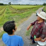 Ratchaburi farmers back new fertiliser project to cut costs | Thaiger