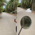 Thai father faces backlash for letting son throw ping pong bombs | Thaiger