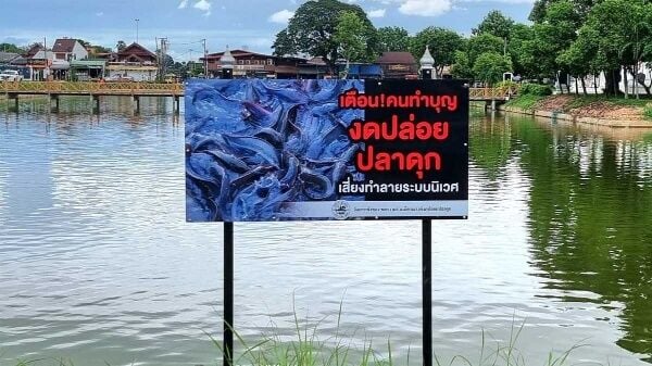 Sukhothai temple warns against releasing catfish