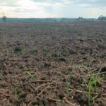 Nakhon Ratchasima faces water shortage as rainy season begins | Thaiger