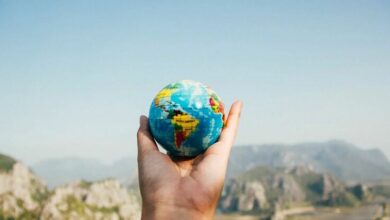 Does cannabis take you to another world