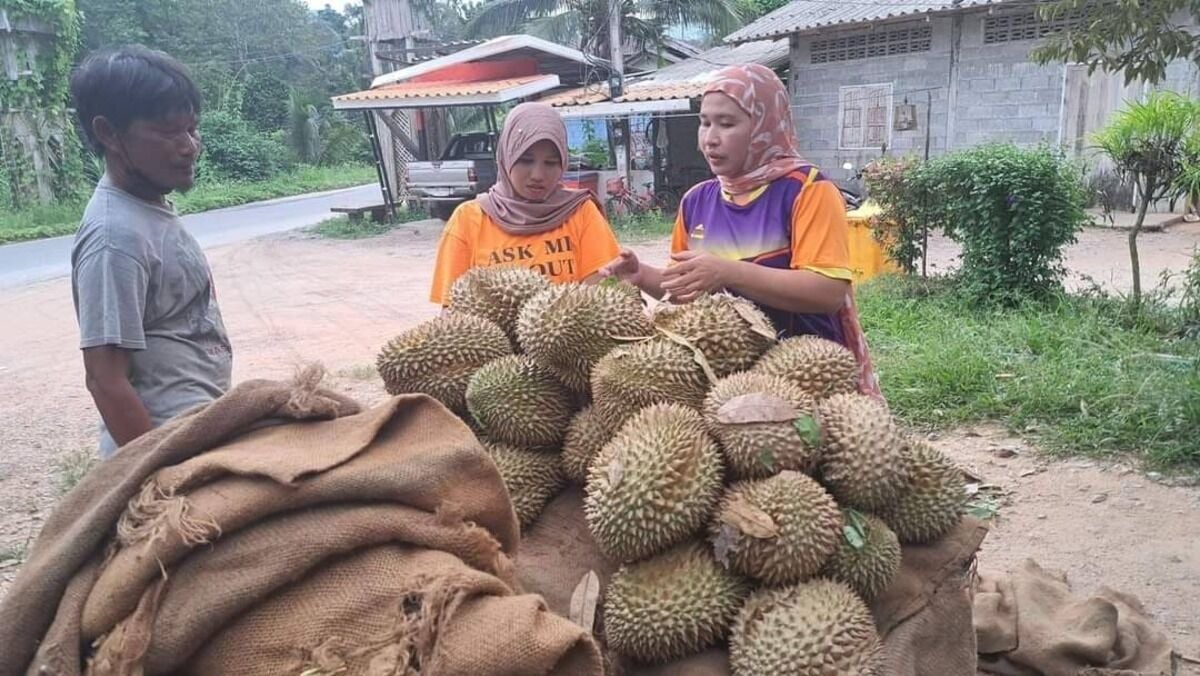 Yala durian farmers struggle with low prices after export rejection
