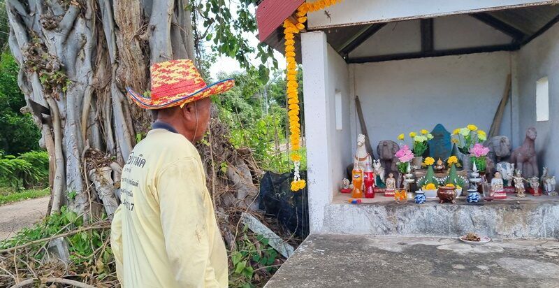 Buriram locals spooked as possessed medium pigs out on raw pork