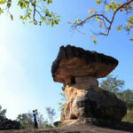 Udon Thani park receives UNESCO World Heritage status | Thaiger