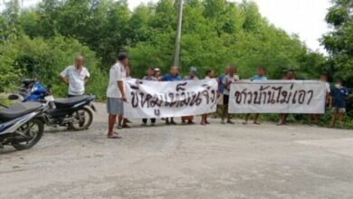 Residents squeal in protest as pig farm stinks up Chon Buri canal