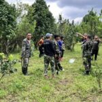 Thai man at risk of losing eyesight after being mauled by a bear | Thaiger