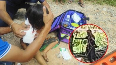 Thai woman killed, girl injured in rampage in Surat Thani