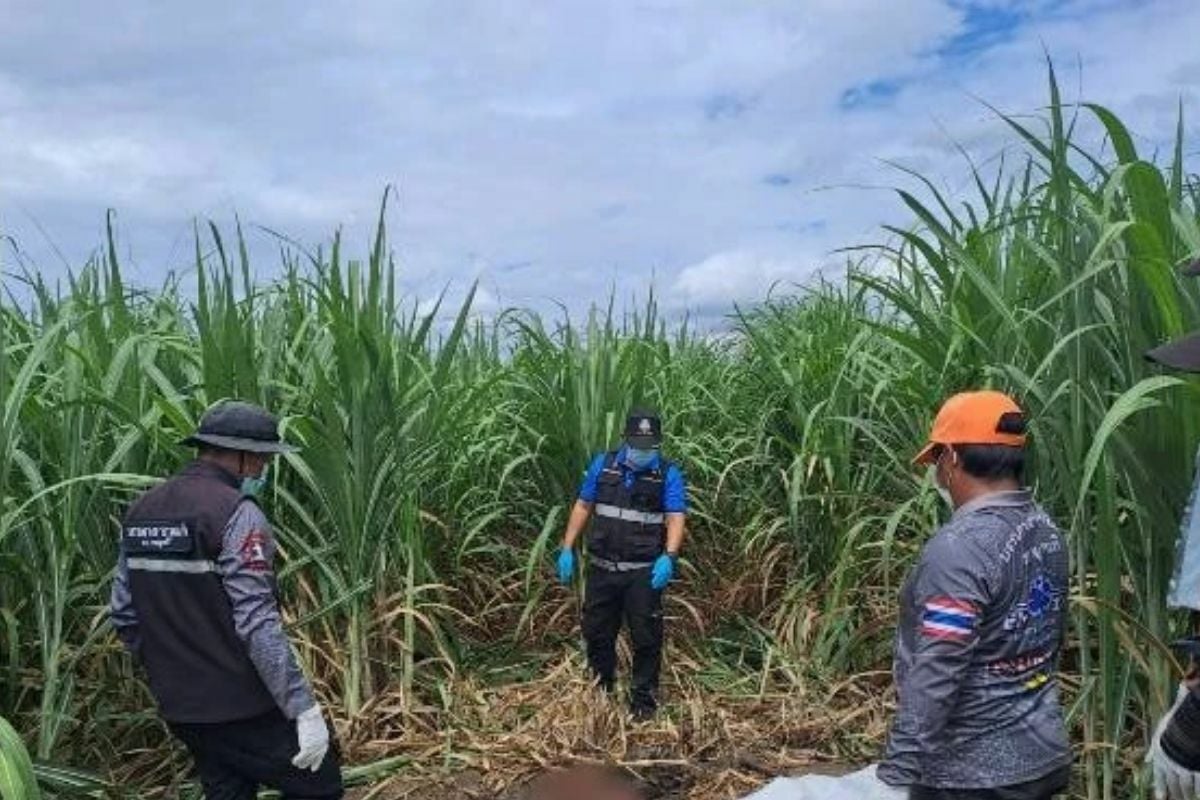 Body of unidentified man without hands found in central Thailand