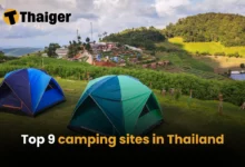 10 best camping spots in Thailand for an unforgettable outdoor adventure | Thaiger