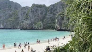 Maya Bay to close for two months for monsoon season recovery | Thaiger