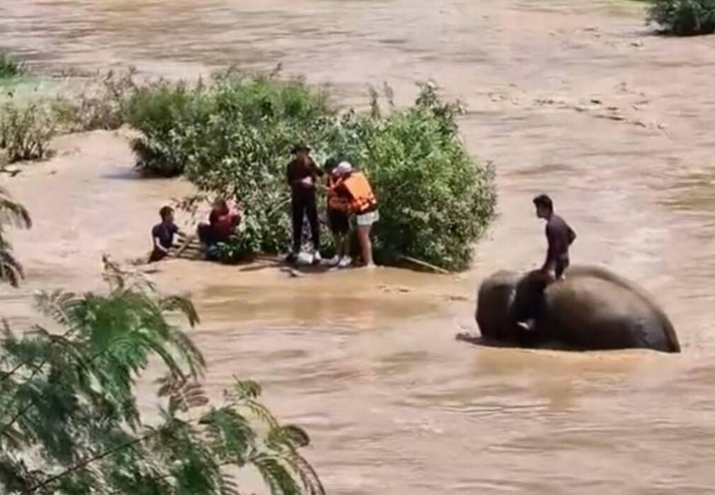 Elephant riders rescue tourists in deep water after rafting mishap | News by Thaiger