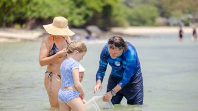 Pullman Phuket Panwa Beach Resort puts sustainability at its heart