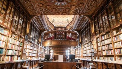 Are libraries necessary anymore | Thaiger