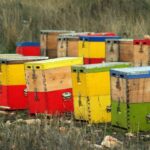 Farm to table: Thailand firms urged to unite for stable farm prices | Thaiger