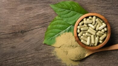 Mayo Clinic issues warning that kratom is unsafe and ineffective | Thaiger