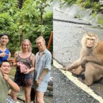 Officer monkeying around: Phuket cop saves Russian’s bag | Thaiger