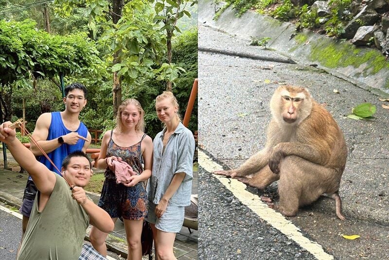 Officer monkeying around: Phuket cop saves Russian’s bag