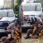 NZ brothers return home after 4 months in Thai custody for assault | Thaiger