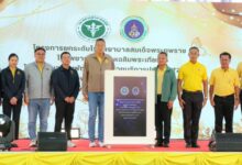 Thailand’s PM and health minister unveils digital health stations to honour His Majesty The King | Thaiger