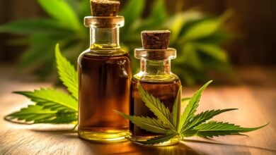 Potential of cannabis seed oil for healing burn wounds