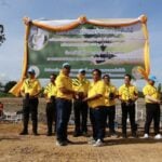 Highways Department&#8217;s tree-mendous tribute for king&#8217;s birthday | Thaiger