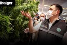Thailand Video News | Thailand Flip-Flops on Cannabis Laws Again, Syphilis Cases Triple Among Thai Teens