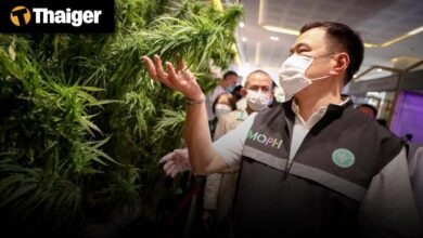 Thailand Video News | Thailand Flip-Flops on Cannabis Laws Again, Syphilis Cases Triple Among Thai Teens